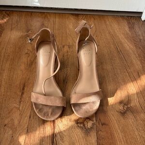 a new day Tan Heels